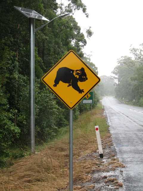 Koala warning sign near Bonville, NSW (black non-outline version)