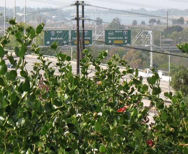 Interstate 5 at Interstate 8 with former California 209, seen from Presidio Park in San Diego