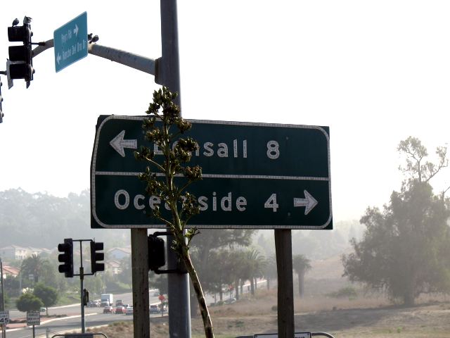 Button reflectors on destination signs on the former California 76 near Oceanside