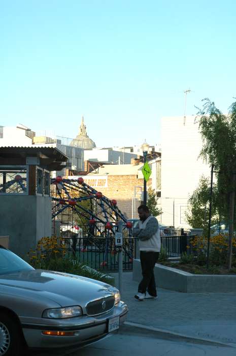 San Francisco City Hall in the background on Hayes Green