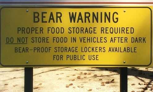 Bear warning sign