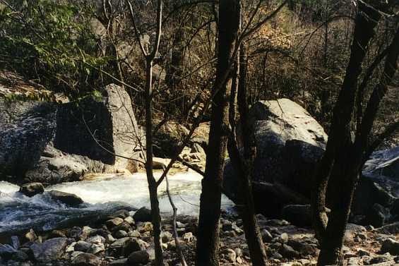 Yosemite valley creek