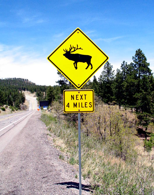 Elk crossing sign on NM 501 at the west end of Los Alamos