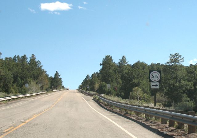NM 515, the route to the Red River Fish Hatchery
