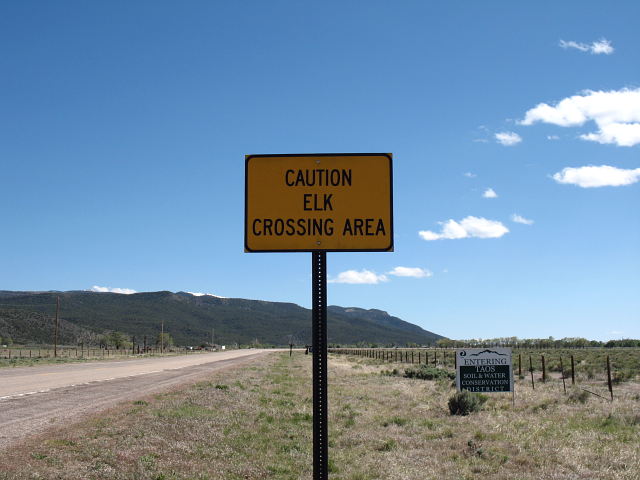 Elk warning on southbound NM 522, just south of the Colorado border