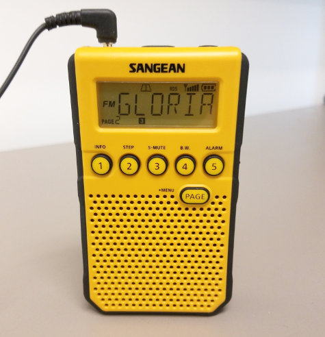 Radio Data System (RDS) display on Sangean DT-800 radio