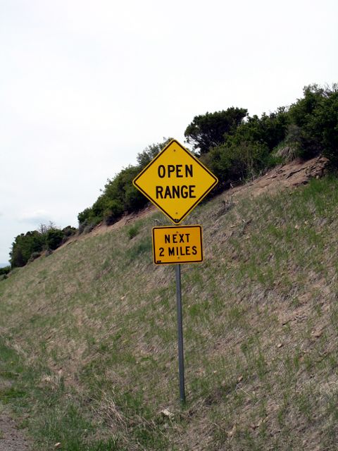 Sign warning of livestock on Colorado route 347