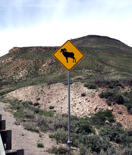 Symbolic sheep warning sign on US 50 along the Blue Mesa Reservoir in Colorado